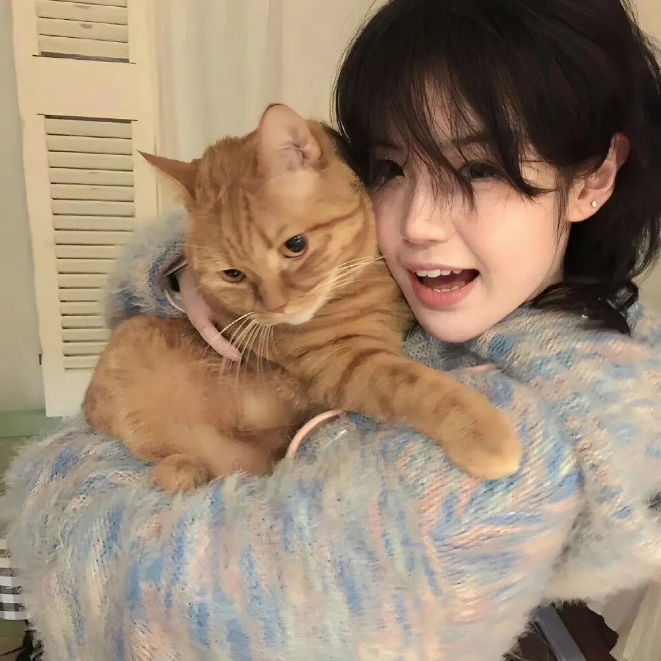 重生八零悍妻当家